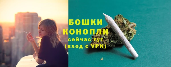 не бодяженный Заводоуковск