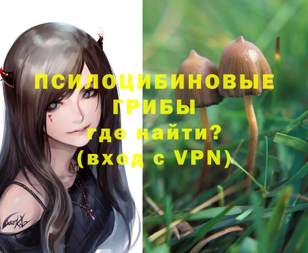 а пвп мука Заволжье