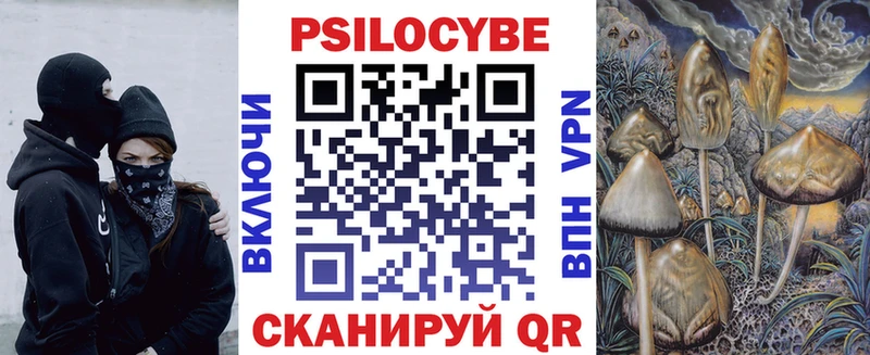 Купить закладки  Демидов  Галлюциногенные грибы Cubensis 